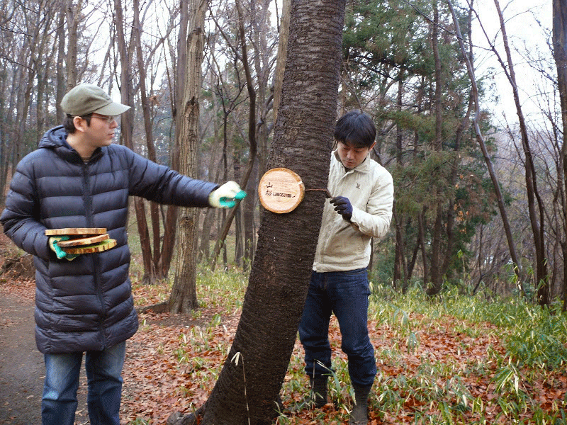 tree-tag